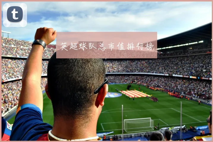 英超球队总市值排行榜