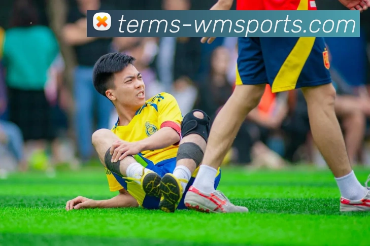 多媒体互动体验